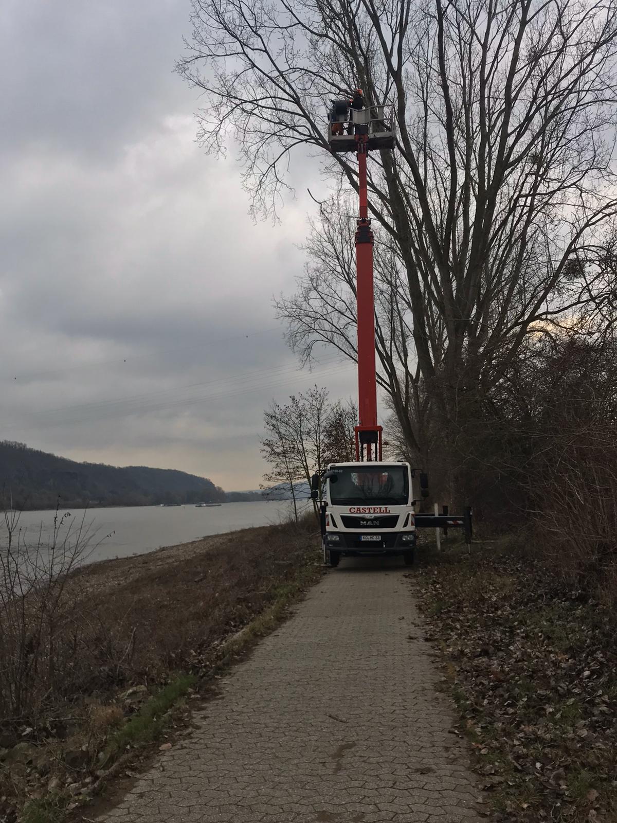 Ufergehölzpflege