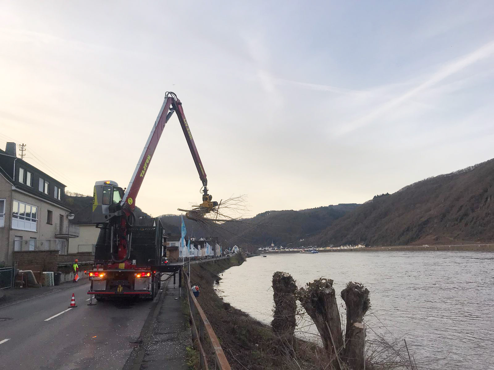 Gehölzpflege am Rhein